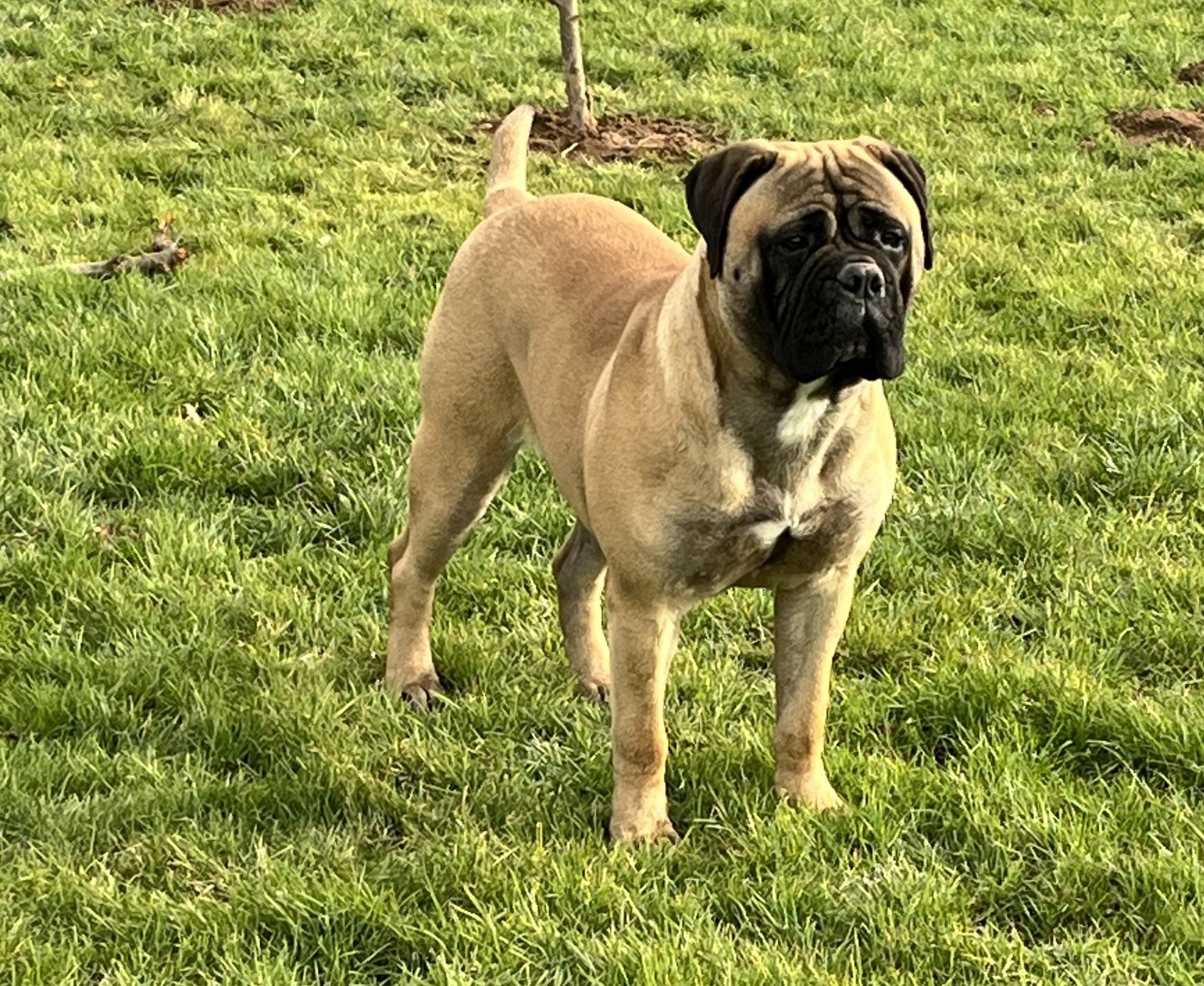 Anna des Jardins D'Atlantis